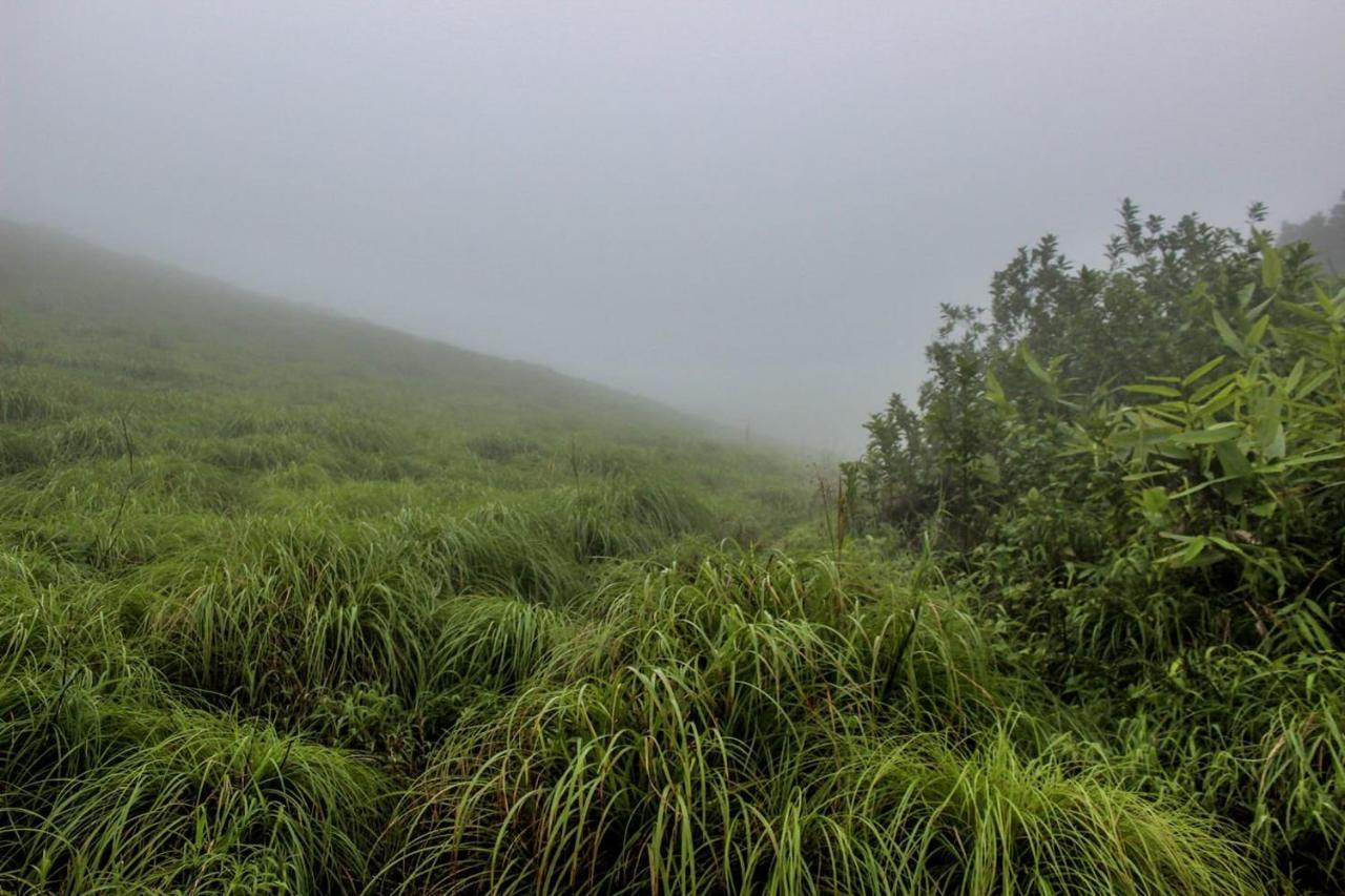 7Th Heaven Kannur Chakkarakkal Extérieur photo